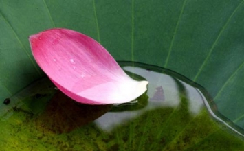 Người giàu có và cái bát mẻ